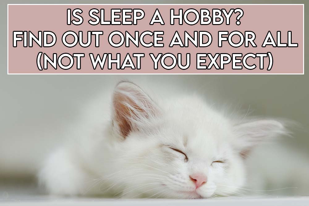 This image features the relevant title regarding sleep as a hobby and also includes an evocative image of a cat sleeping