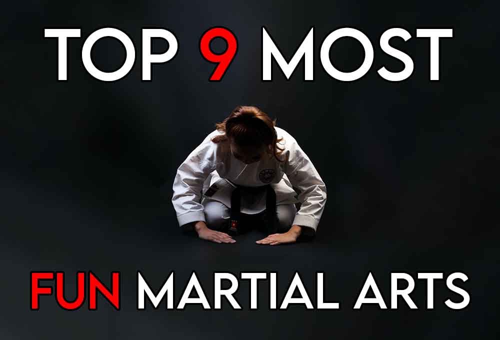 This image includes the article title discussing the most fun martial arts by rank and includes an evocative image of a martial art practitioner