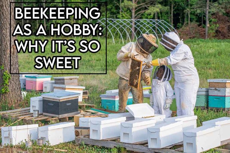 this image features the relevant article title discussing beekeeping as a hobby and features an evocative image of beekeepers working together